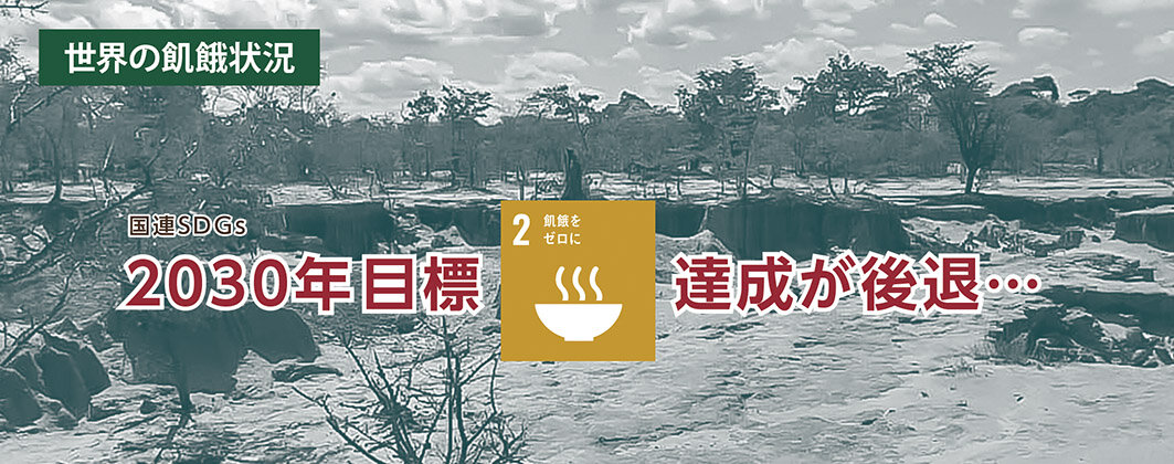 世界の飢餓状況.jpg